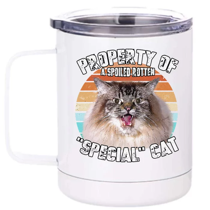 Cat Special Property Vintage Eighties Style Cat Retro Gift Cute Dog Front & Back 12oz Stainless Steel Tumbler Cup