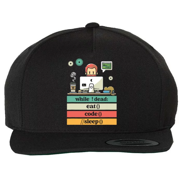 Computer Science Python Programmer Eat Code Sleep Coder Wool Snapback Cap