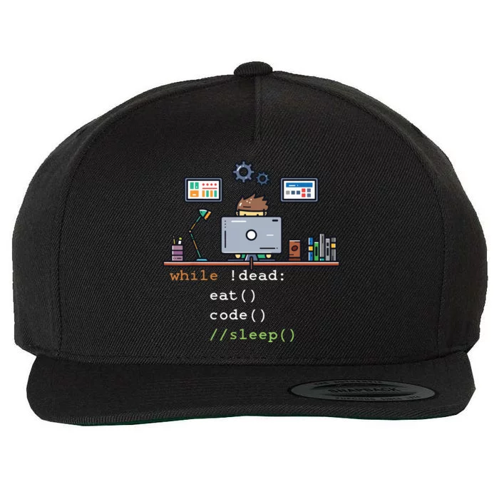 Computer Science Python Programmer Eat Code Sleep Wool Snapback Cap