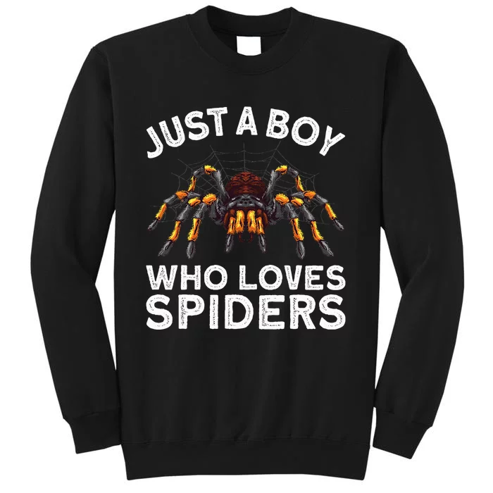 Cute Spider Spider Web Tarantula Arachnid Tall Sweatshirt