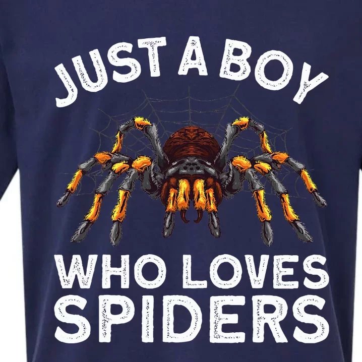 Cute Spider Spider Web Tarantula Arachnid Sueded Cloud Jersey T-Shirt