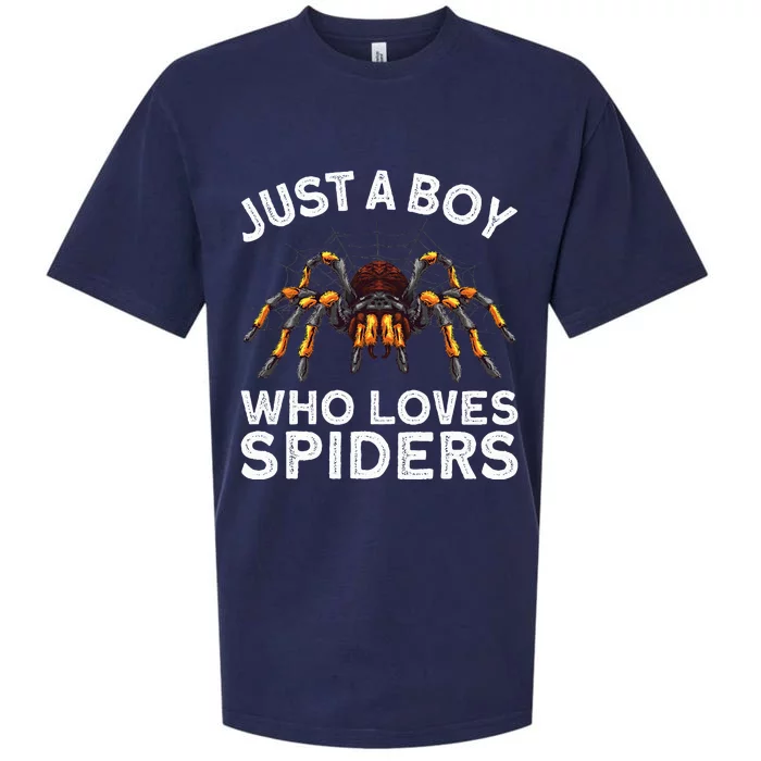 Cute Spider Spider Web Tarantula Arachnid Sueded Cloud Jersey T-Shirt