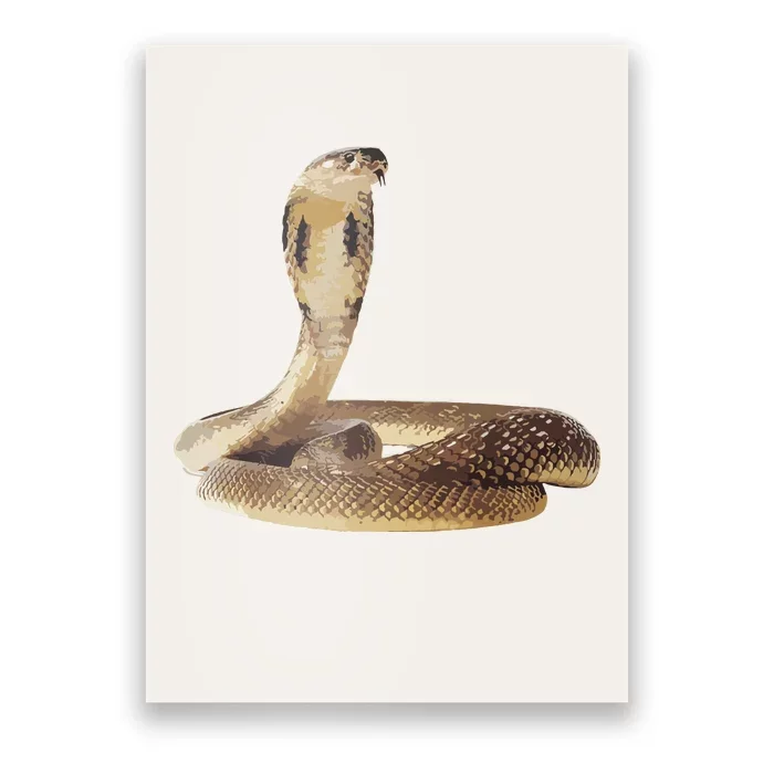 Cobra Snake T For Men Women Boy Girl Poster