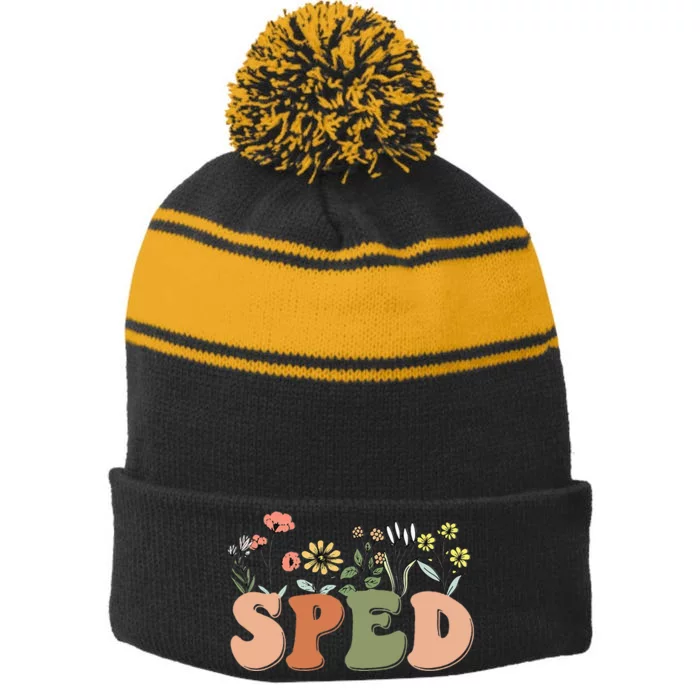 Cute SPED Teacher Special Education Wildflower SPED Teacher Stripe Pom Pom Beanie