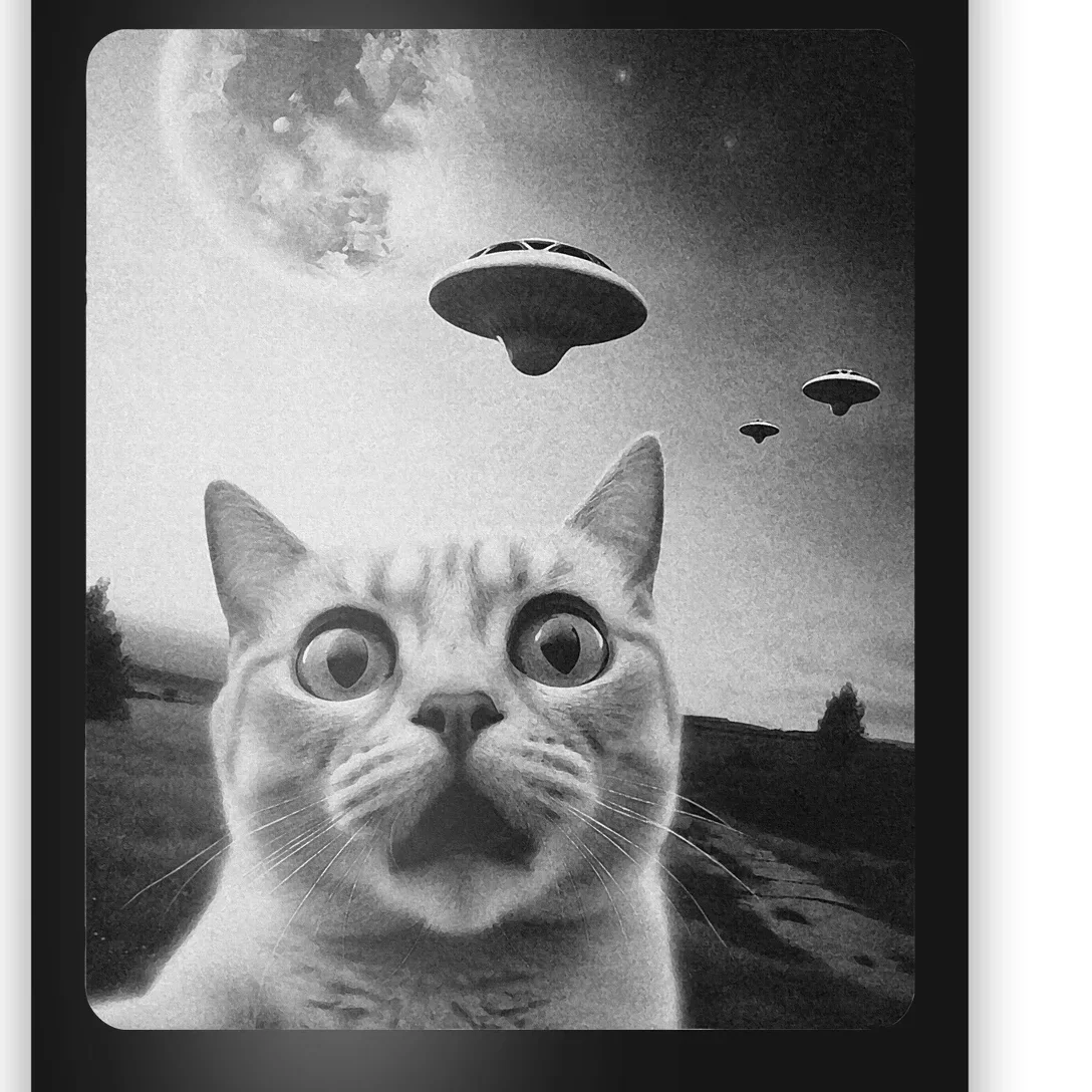 Cat Selfie Ufo Poster