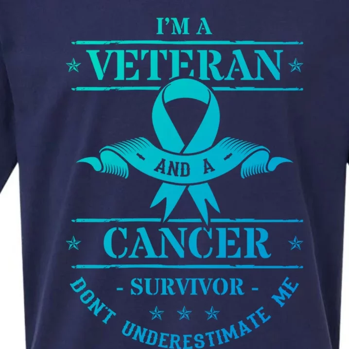 Cancer Survivor Veteran Chemotherapy Warrior Gift Sueded Cloud Jersey T-Shirt