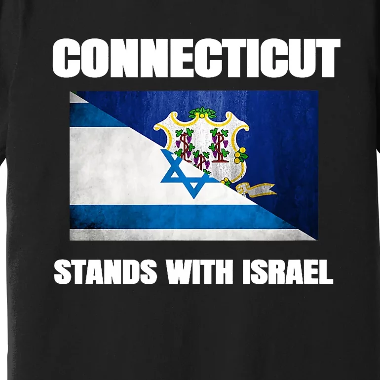 Connecticut Stands With Israel Connecticut Israel Flag Premium T-Shirt