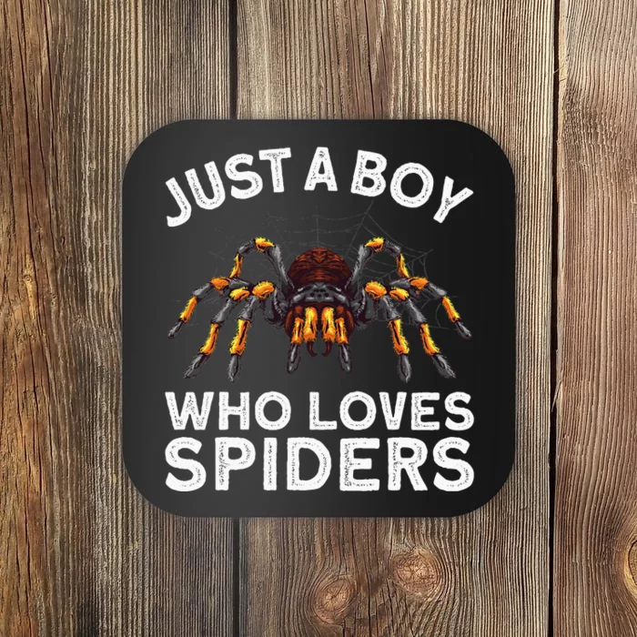 Cute Spider Web Tarantula Arachnid Coaster