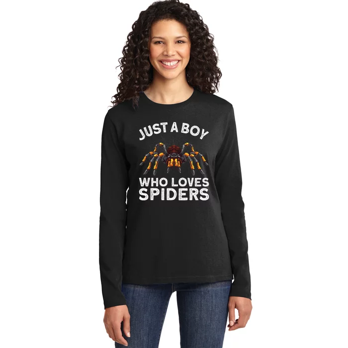 Cute Spider Web Tarantula Arachnid Ladies Long Sleeve Shirt