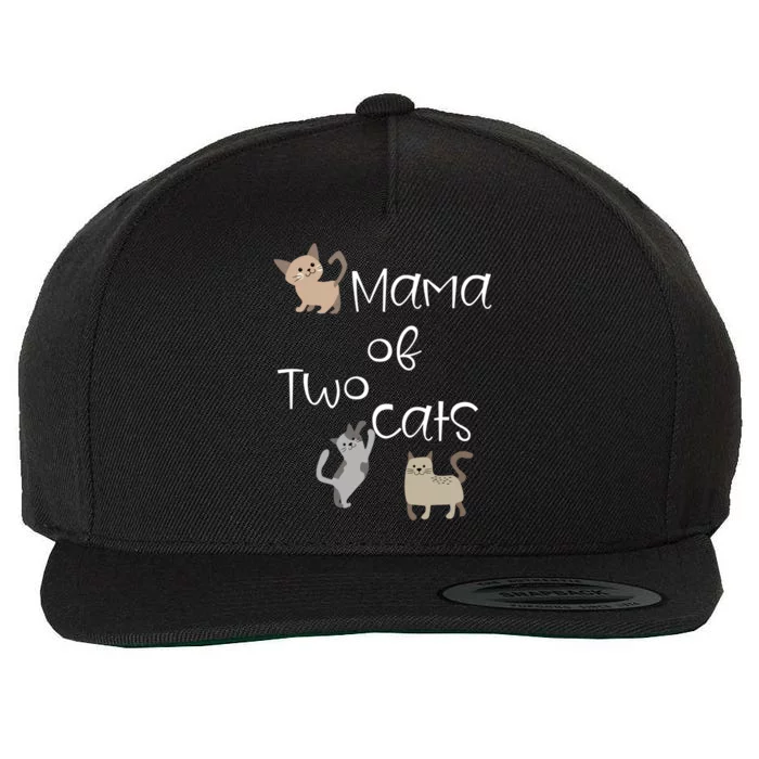 Cute Two Cat Mama Saying Playful Kitties For Cat Owner Moms Gift Wool Snapback Cap