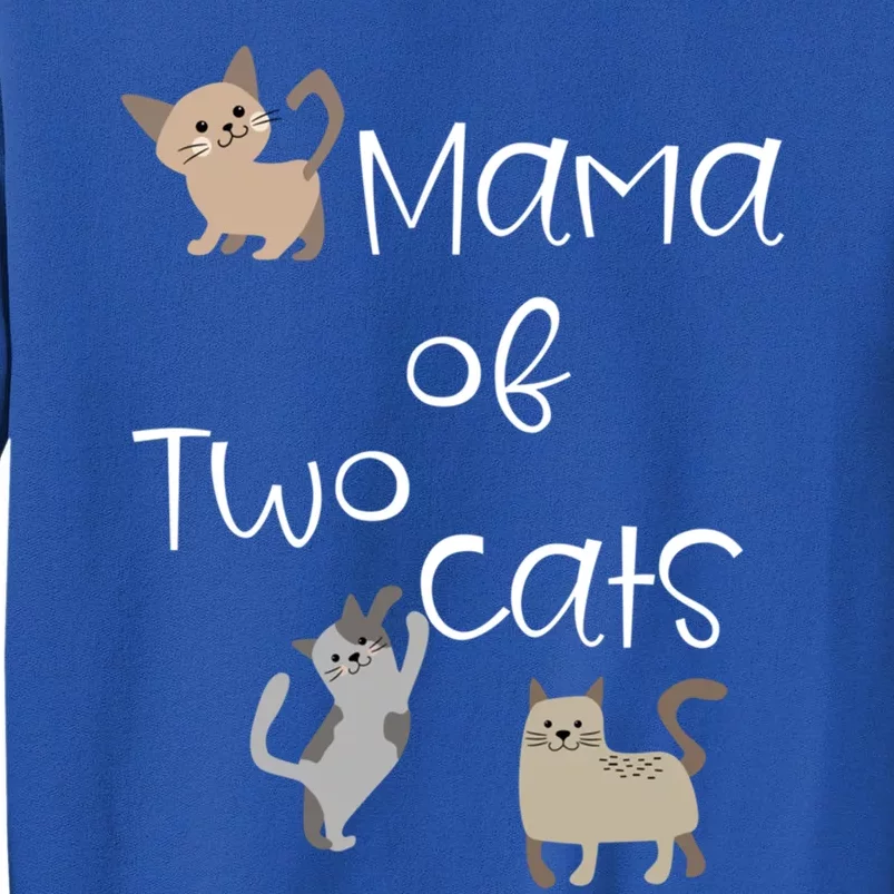 Cute Two Cat Mama Saying Playful Kitties For Cat Owner Moms Gift Sweatshirt