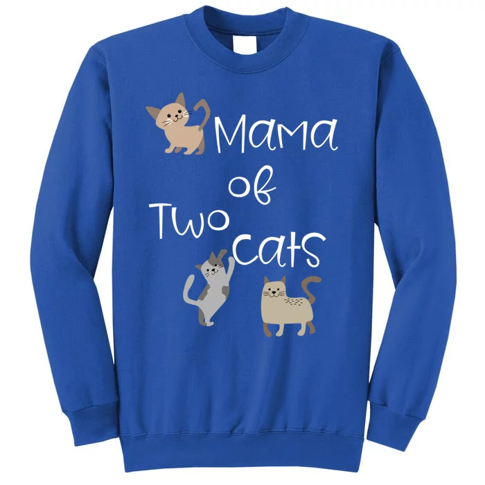 Cute Two Cat Mama Saying Playful Kitties For Cat Owner Moms Gift Sweatshirt