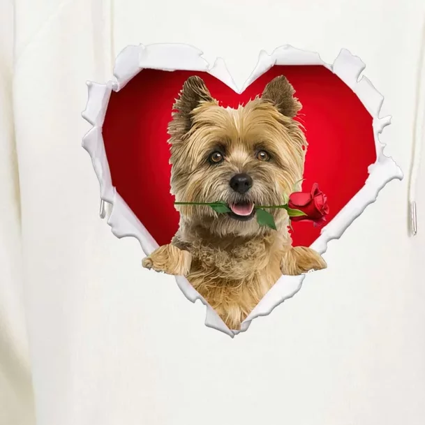 Cairn Terrier Dog Rose Heart Valentines Day Couple Gift Womens Funnel Neck Pullover Hood