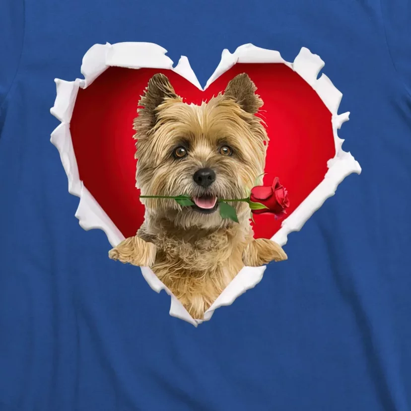 Cairn Terrier Dog Rose Heart Valentines Day Couple Gift T-Shirt