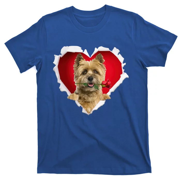 Cairn Terrier Dog Rose Heart Valentines Day Couple Gift T-Shirt