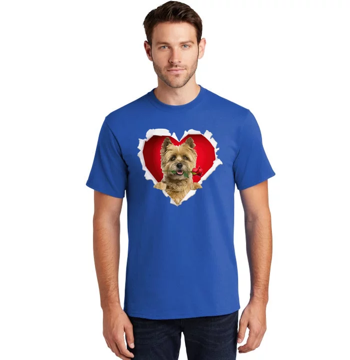 Cairn Terrier Dog Rose Heart Valentines Day Couple Gift Tall T-Shirt