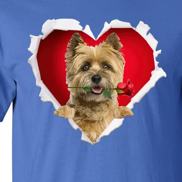 Cairn Terrier Dog Rose Heart Valentines Day Couple Gift Tall T-Shirt