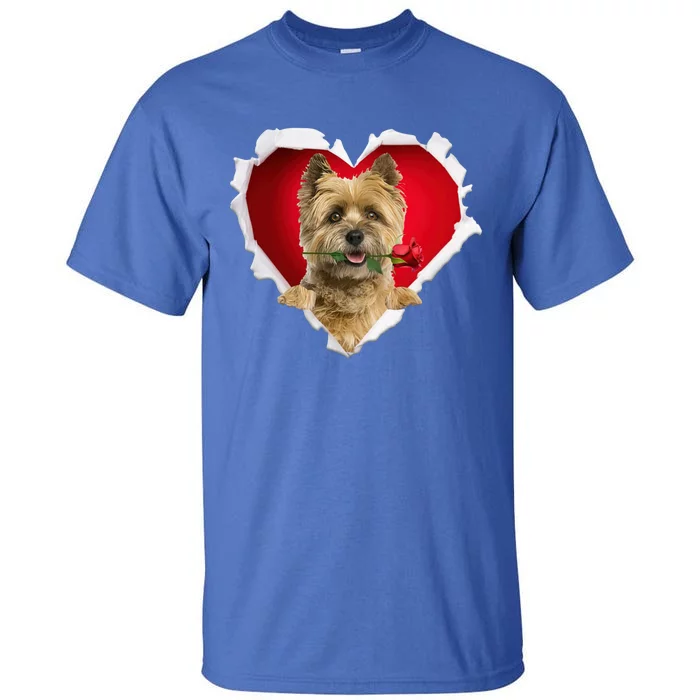 Cairn Terrier Dog Rose Heart Valentines Day Couple Gift Tall T-Shirt