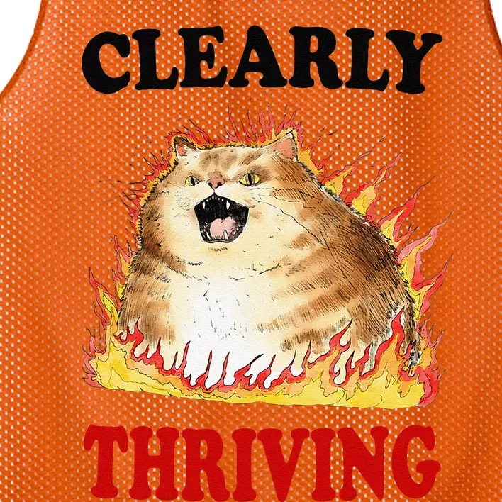 Clearly Thriving Funny Fire Cat Meme Cat Lover Cat Mom Mesh Reversible Basketball Jersey Tank