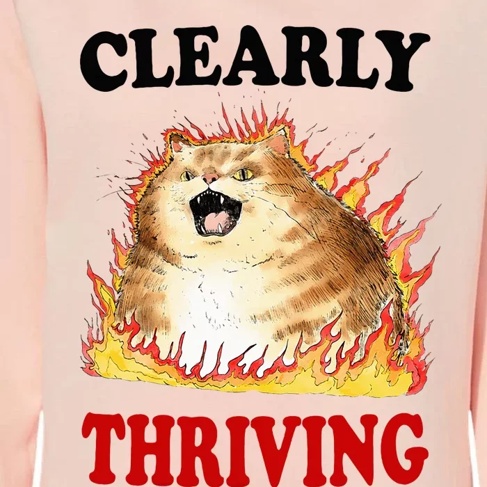 Clearly Thriving Fire Cat Meme Cat Lover Cat Mom Womens California Wash Sweatshirt