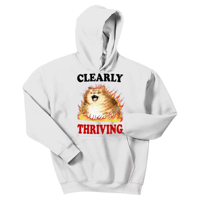 Clearly Thriving Fire Cat Meme Cat Lover Cat Mom Kids Hoodie