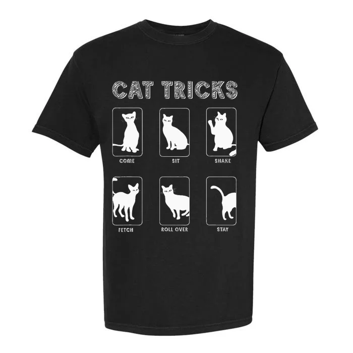 Cat Tricks Funny Kitten Kitty Pet Owner Gift Garment-Dyed Heavyweight T-Shirt