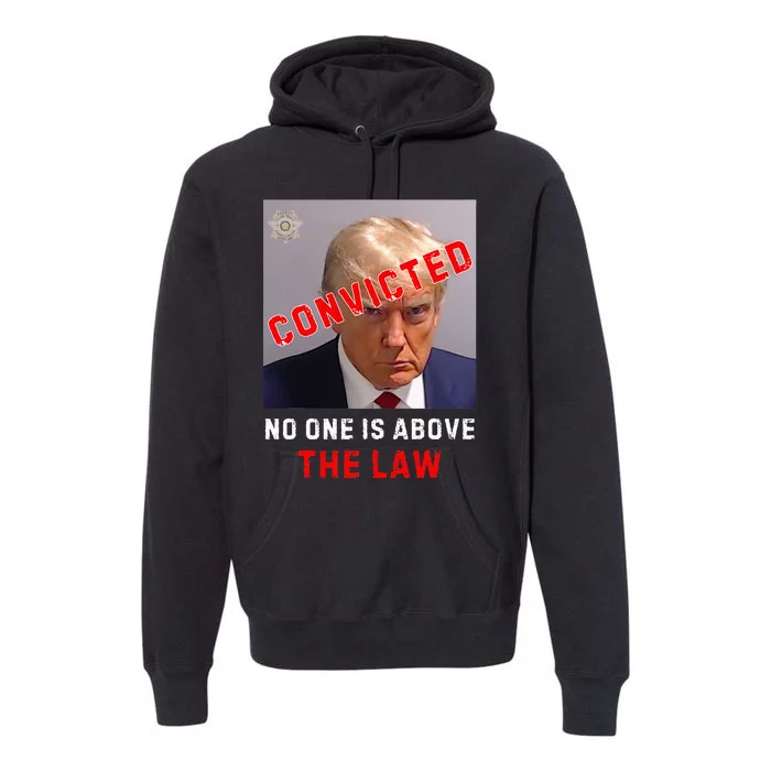 Convicted Trump Guilty Lock Him Up No One Is Above The Law Premium Hoodie