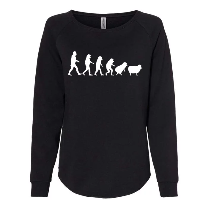 Conspiracy Theorist Human Evolution Wake Up Sheeple Sheep Womens California Wash Sweatshirt