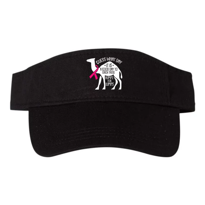 Check Those Humps Lumps Breast Cancer Awareness Warrior Valucap Bio-Washed Visor