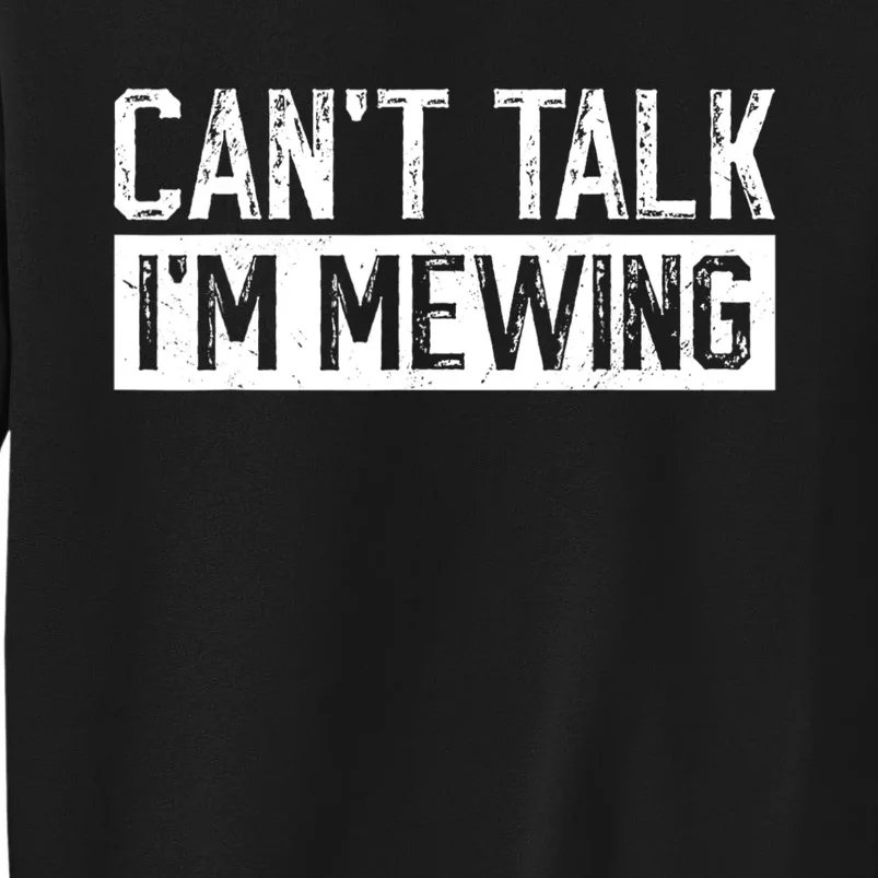 CanT Talk IM Mewing Funny Saying Sweatshirt