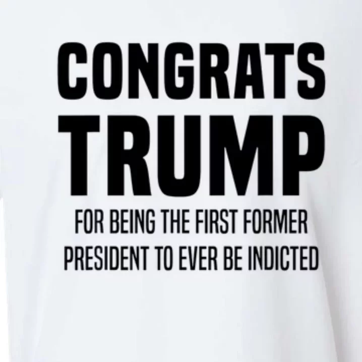 Congrats Trump Indicted Sueded Cloud Jersey T-Shirt