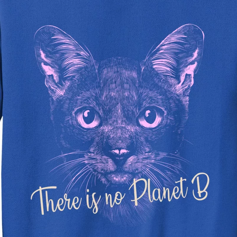 Cat: There Is No Planet B Meaningful Gift Climate Change Is Real! Gift Sweatshirt