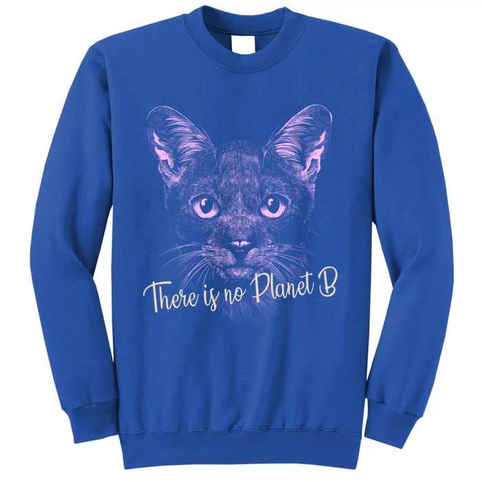 Cat: There Is No Planet B Meaningful Gift Climate Change Is Real! Gift Sweatshirt