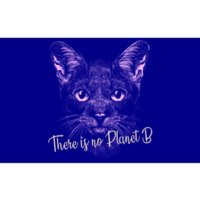 Cat: There Is No Planet B Meaningful Gift Climate Change Is Real! Gift Bumper Sticker