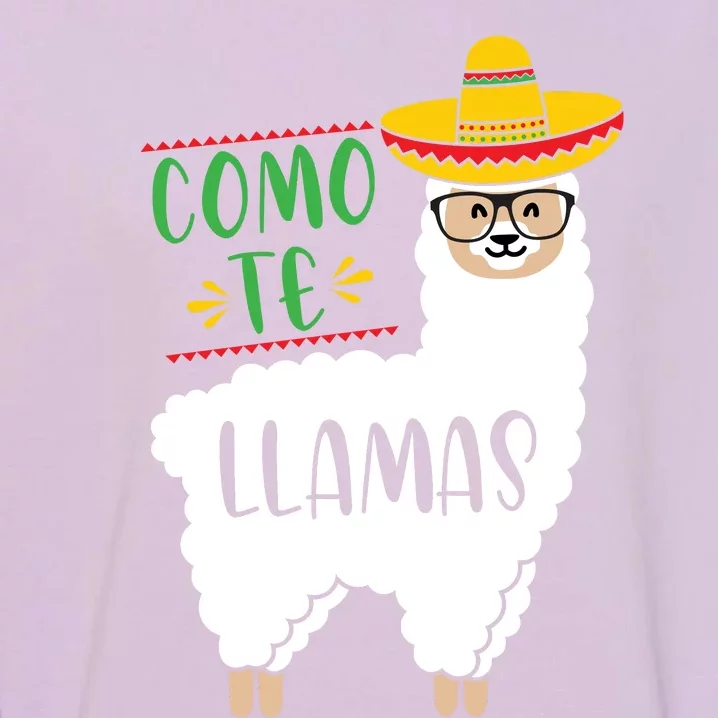 Como Te Llamas Garment-Dyed Sweatshirt