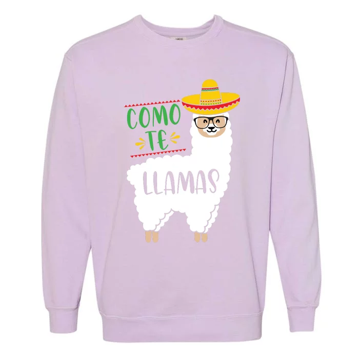 Como Te Llamas Garment-Dyed Sweatshirt