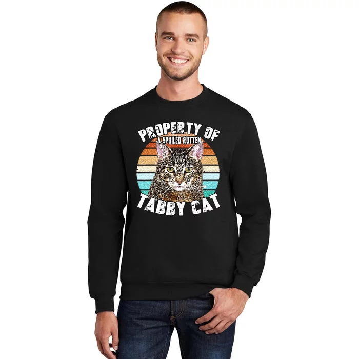 Cat Tabby Lover Vintage Eighties Style Cat Retro Gift Tall Sweatshirt