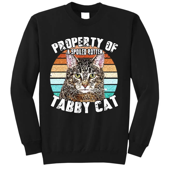 Cat Tabby Lover Vintage Eighties Style Cat Retro Gift Tall Sweatshirt