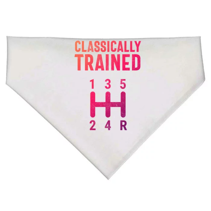 Classically Trained Stick Driver Ual Transmission Car Cute Gift USA-Made Doggie Bandana