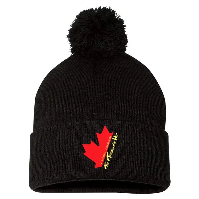 Canada The Tragically Hip A National Celebration Pom Pom 12in Knit Beanie