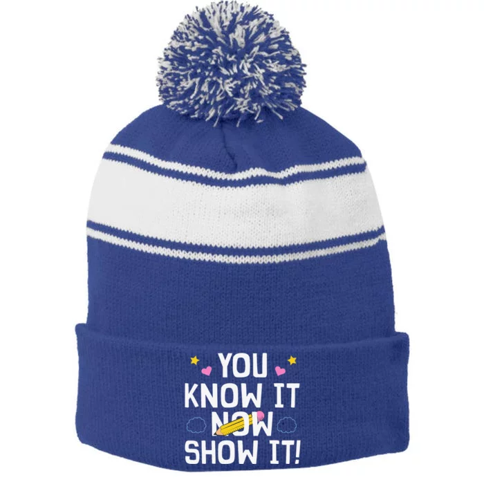 Cool Teacher Testing For Test Day Math Science Stripe Pom Pom Beanie