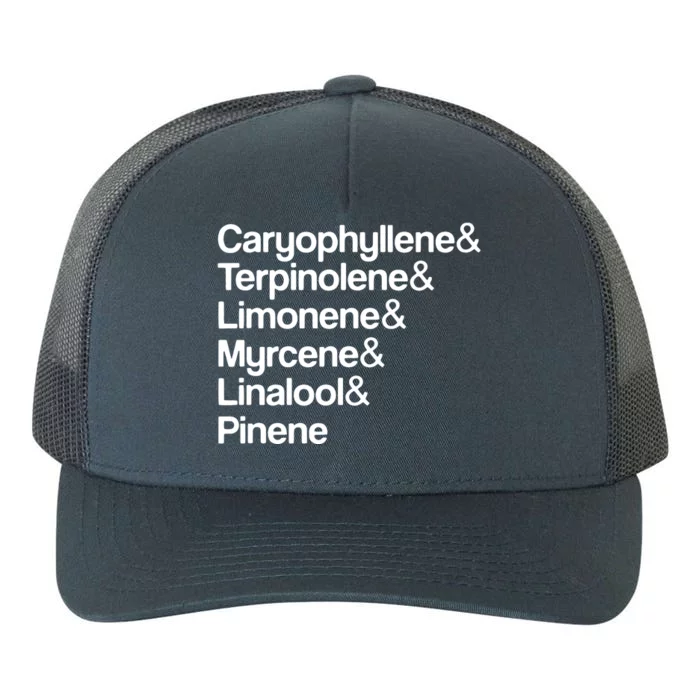 Cannabis Terpenes Terps List Marijuana Smoker Toker 420 Weed Yupoong Adult 5-Panel Trucker Hat