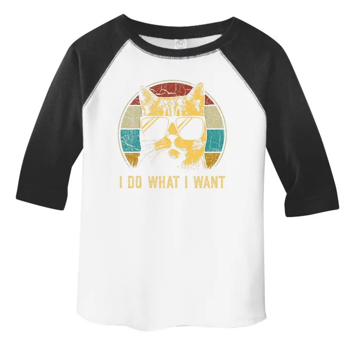 Cat Themed Tee For Women Funny I Do What I Want Cat Toddler Fine Jersey T-Shirt