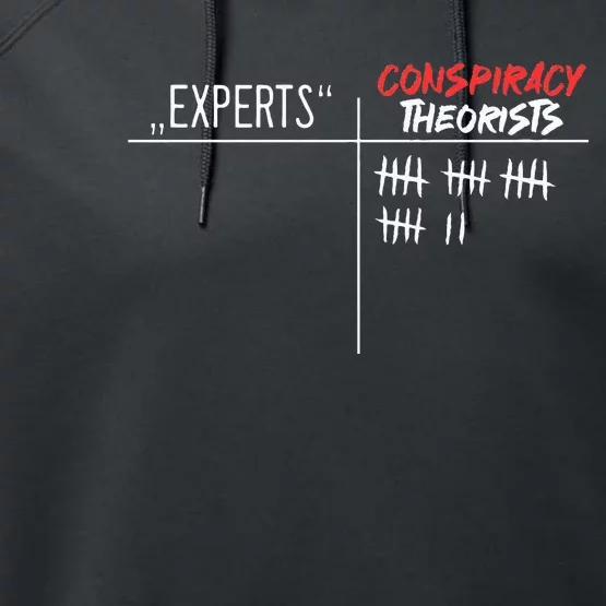 Conspiracy Theorist Vs. Experts Conspiracy Theory Performance Fleece Hoodie