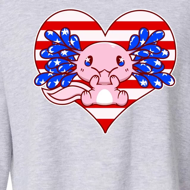 Cute USA American Flag Axolotl Cropped Pullover Crew