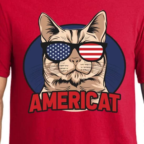 Cat US Flag Sunglasses Americat Cool 4th Of July Cat Pajama Set