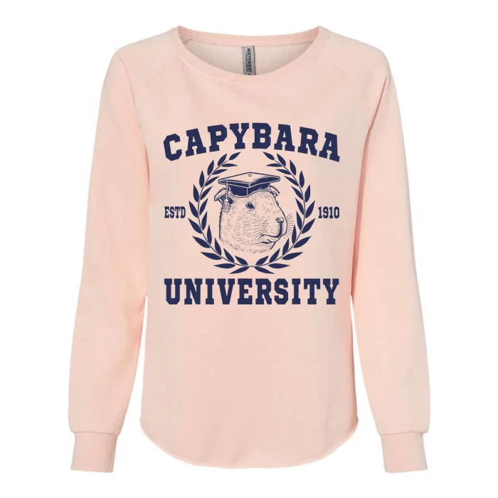 Capybara University Funny Capybara Meme Lover Womens California Wash Sweatshirt