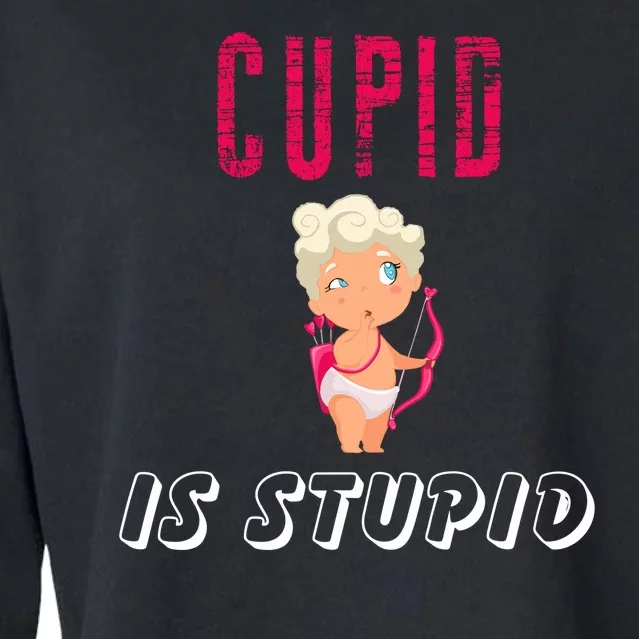 Cupid Is Stupid Cropped Pullover Crew