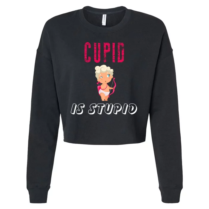 Cupid Is Stupid Cropped Pullover Crew