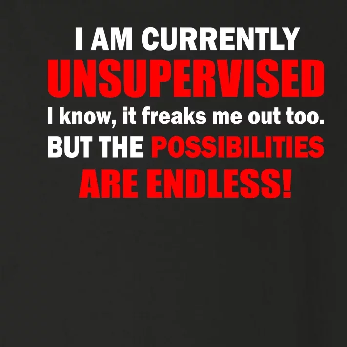 Currently Unsupervised Possibilities Are Endless Toddler Long Sleeve Shirt